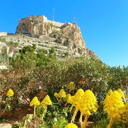 City Centre * Alicante